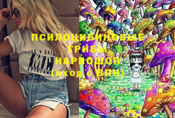 твердый Пыталово