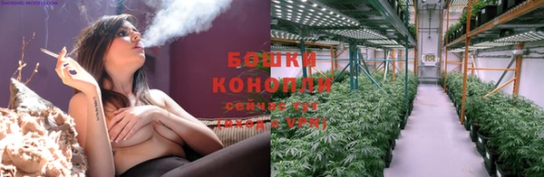 спиды Киреевск
