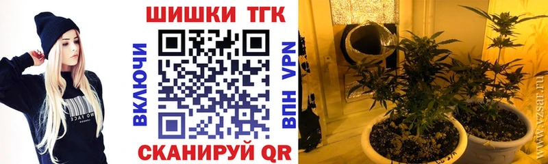 что такое   Куровское  Бошки Шишки тримм 